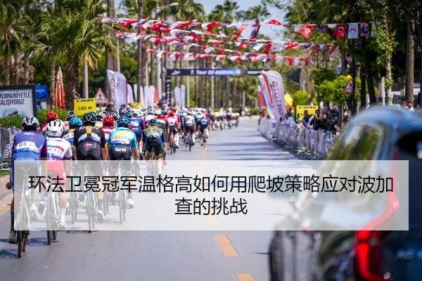 huan-fa-wei-mian-guan-jun-wen-ge-gao-ru-he-yong-pa-po-ce-lve-ying-dui-bo-jia-cha-de-tiao-zhan-3-650.jpg