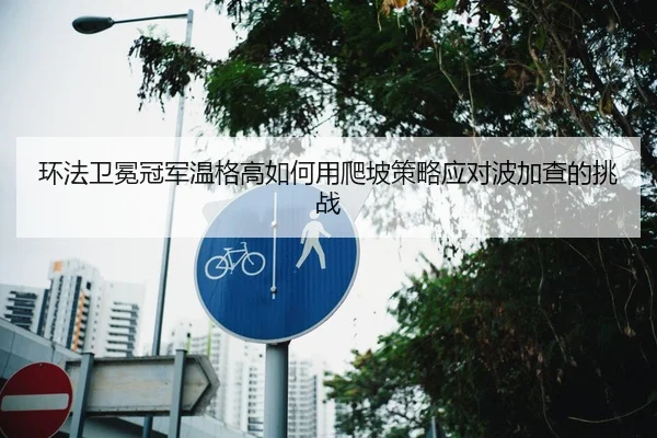 环法卫冕冠军温格高如何用爬坡策略应对波加查的挑战
