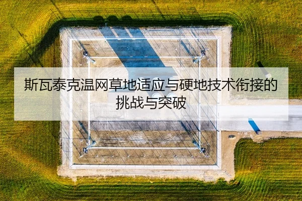 si-wa-tai-ke-wen-wang-cao-di-shi-ying-yu-ying-di-ji-shu-xian-jie-de-tiao-zhan-yu-tu-po-3-226.jpg